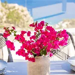 빌라 Mertelia Luxury *